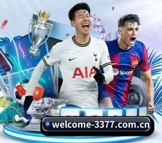 3377体育官方网站 APP 界面