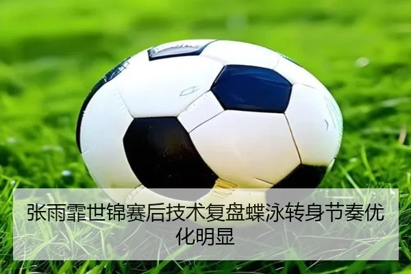 张雨霏世锦赛后技术复盘蝶泳转身节奏优化明显